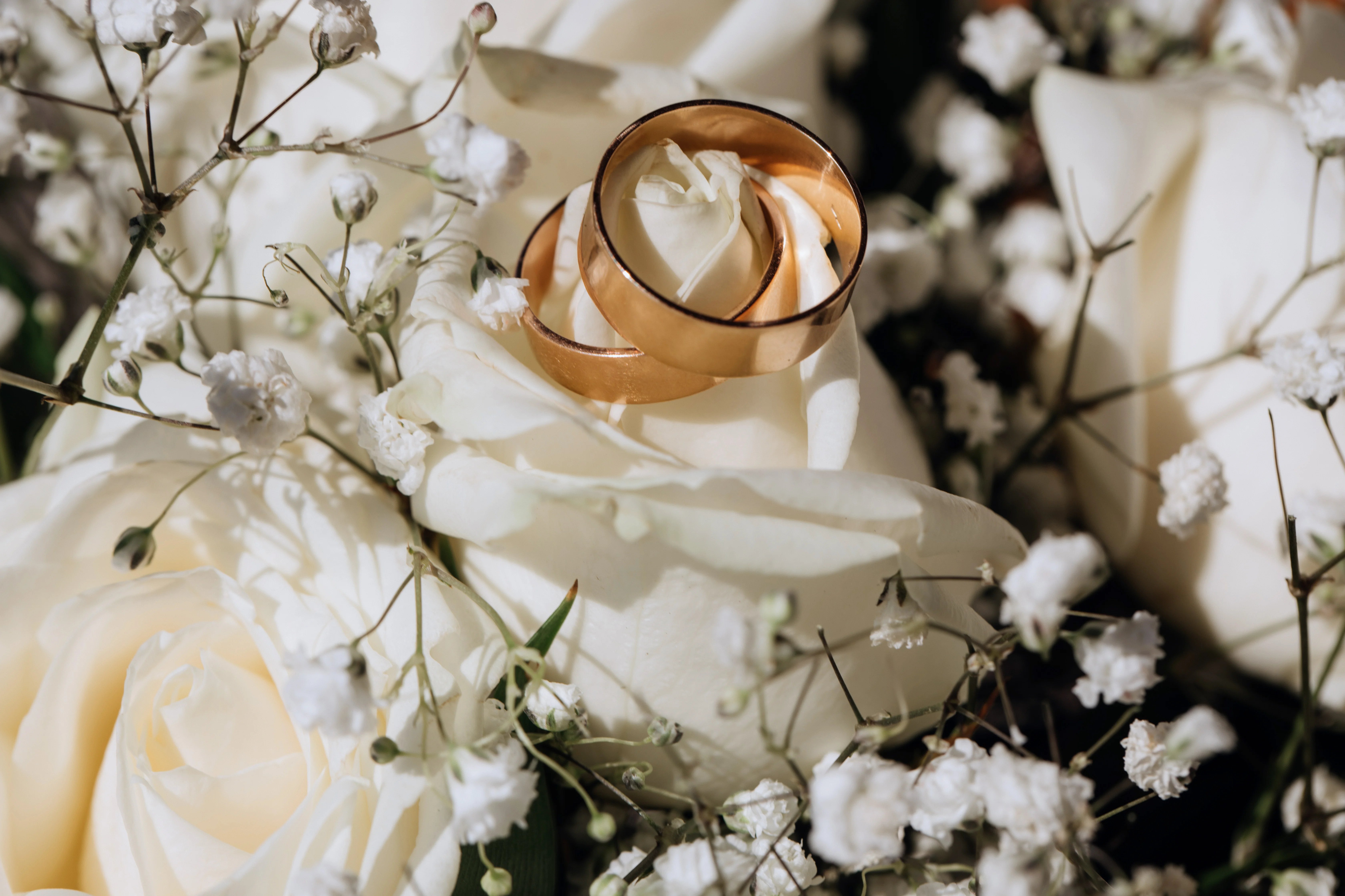 Alianças de casamento sobre flores e cetim branco