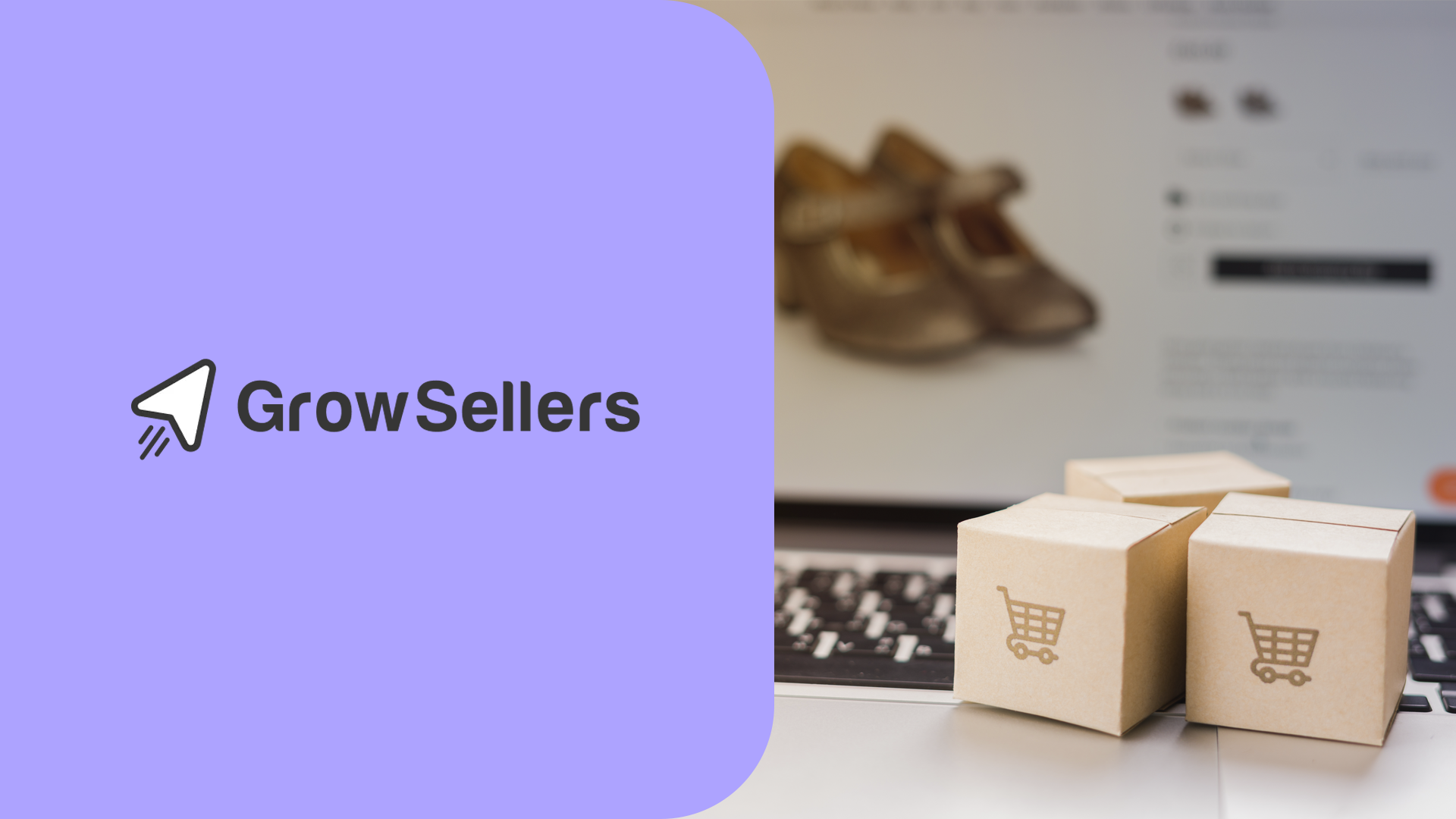 CASO EXITO GROW SELLERS 3