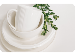 Conjunto de platos blancos con tres piezas y una taza decorada con una rama de eucalipto