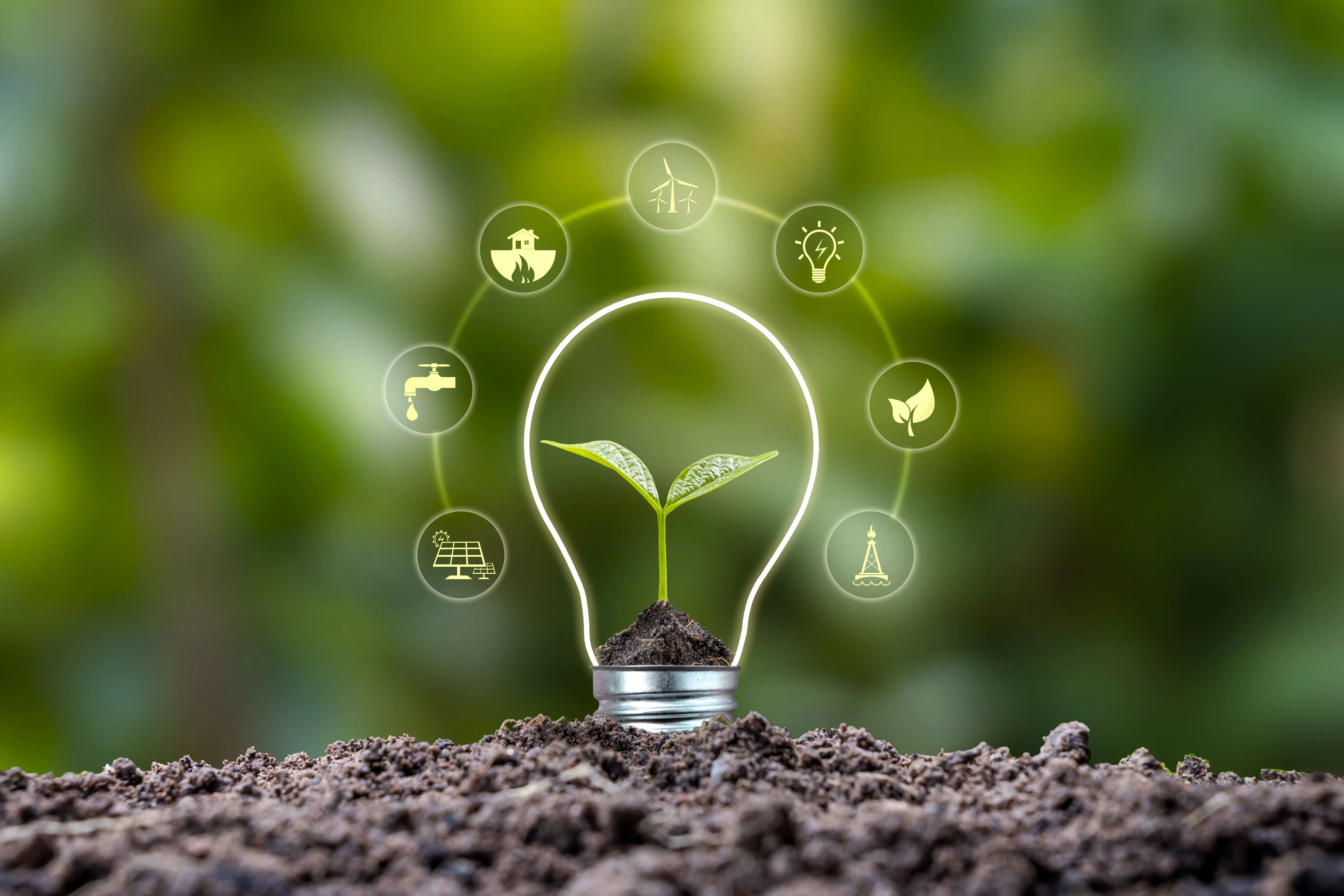 Ideias de produtos ecológicos para vender na internetwebp