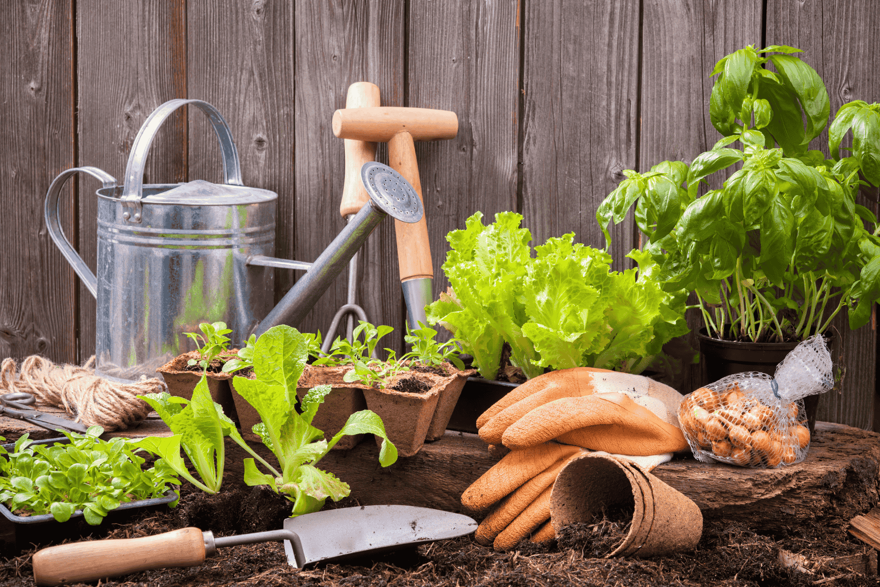 Macetas, regadera, palas y plantas representando la venta de productos de jardinería