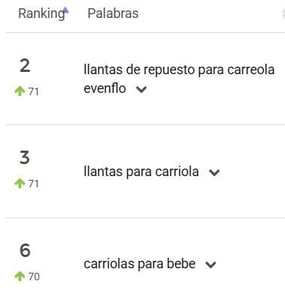 Palabras clave más buscadas del nicho Paseo del Bebé en México