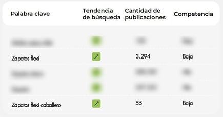 Palabras en tendencia del rubro Calzado en México