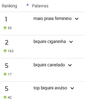 Ranking de palavras mais pesquisadas na categoria Moda Praia no Mercado Livre