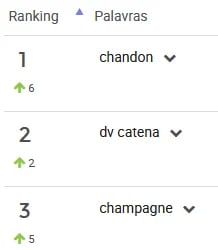 Ranking de palavras mais pesquisas Vinhos e espumantes Mercado Livre