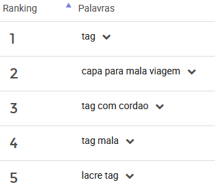 palavras mais pesquisas para Acessórios de Viagem no Mercado Livre