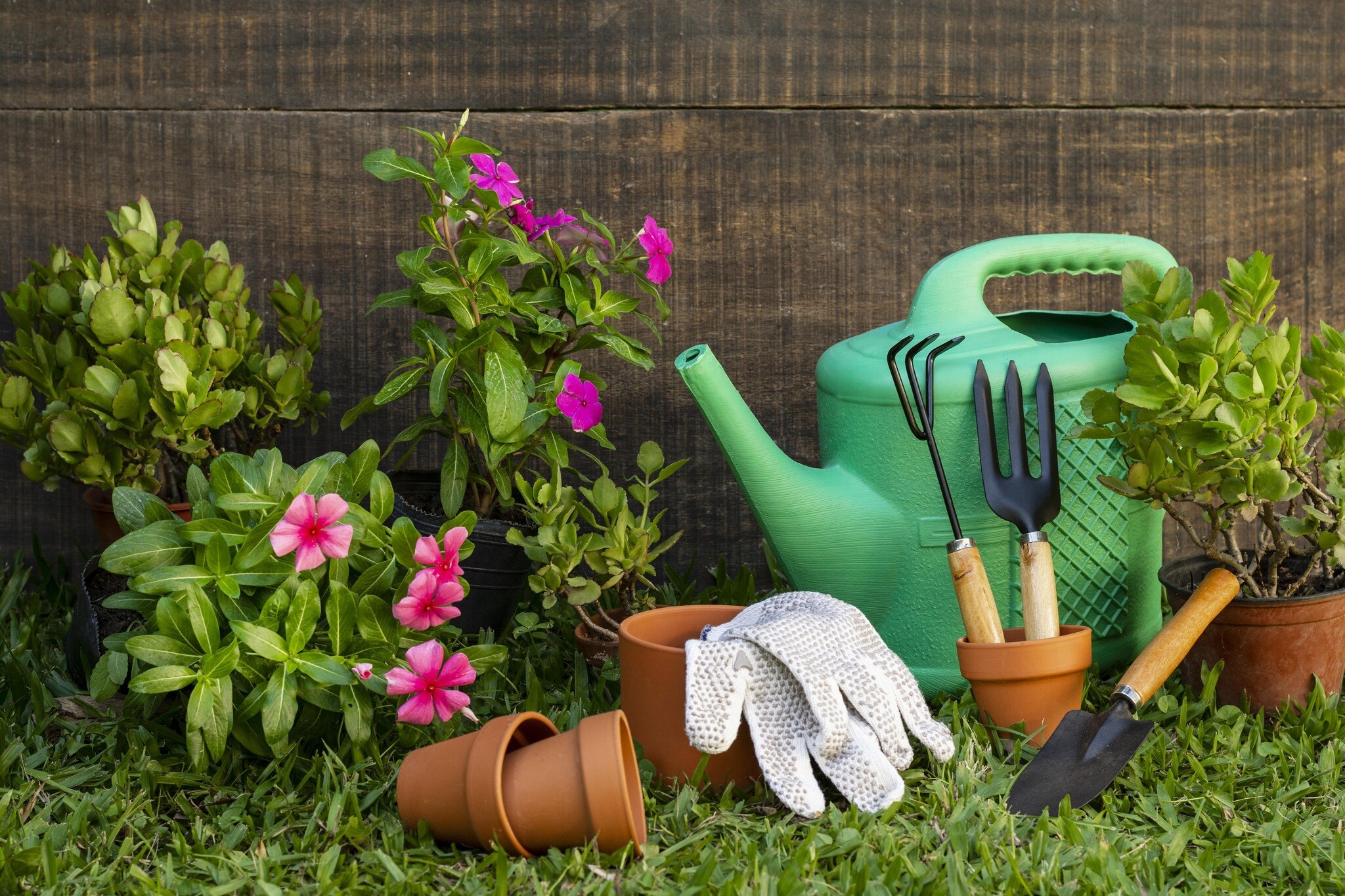 Vasos de plantas, regador e outras ferramentas e acessórios de jardinagem para vender online