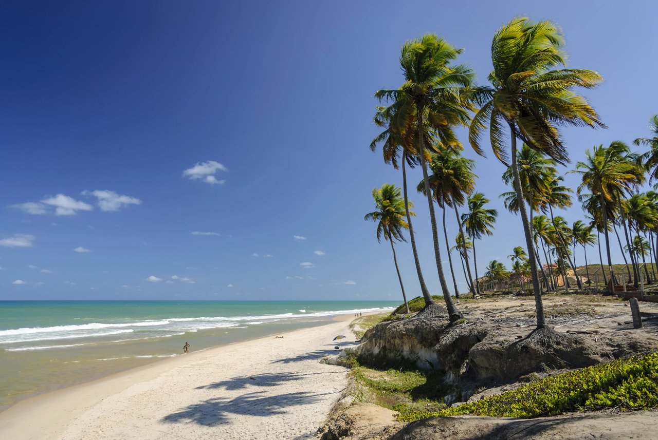 Verão no Mercado Livre - Descubra as novas oportunidades para a temporada