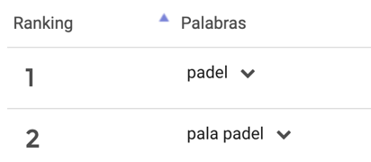 Palavras mais pesquisadas na categoria padel no Mercado Livre Argentina